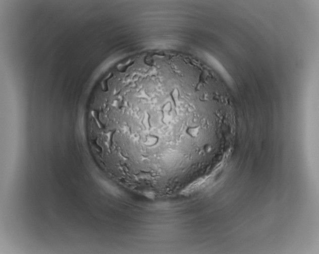 X0000113531035200909250902