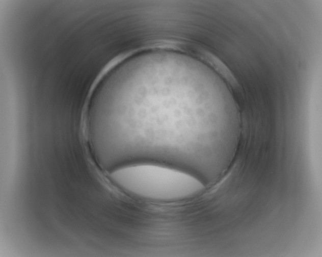 X0000113531036200909250902