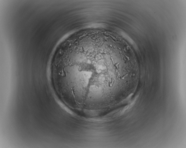 X0000113531037200909250902