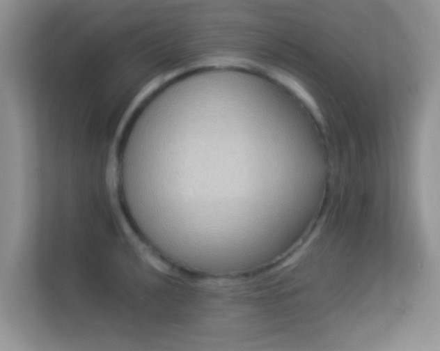 X0000113531040200909250902