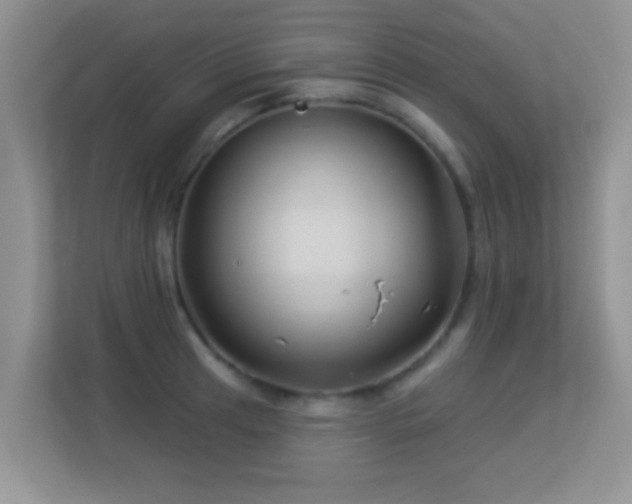 X0000113531041200909250902