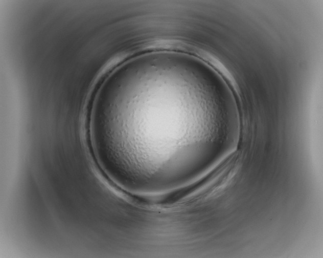 X0000113531045200909250902