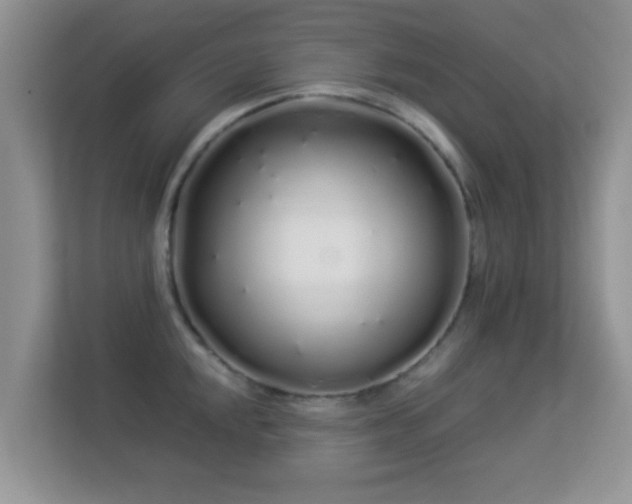 X0000113531048200909250902