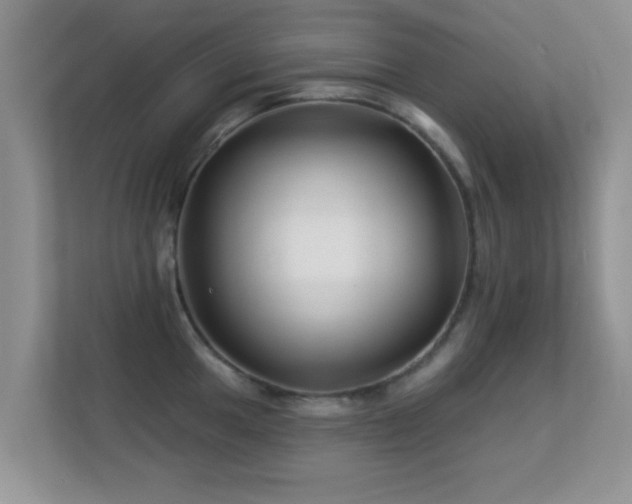 X0000113531049200909250902