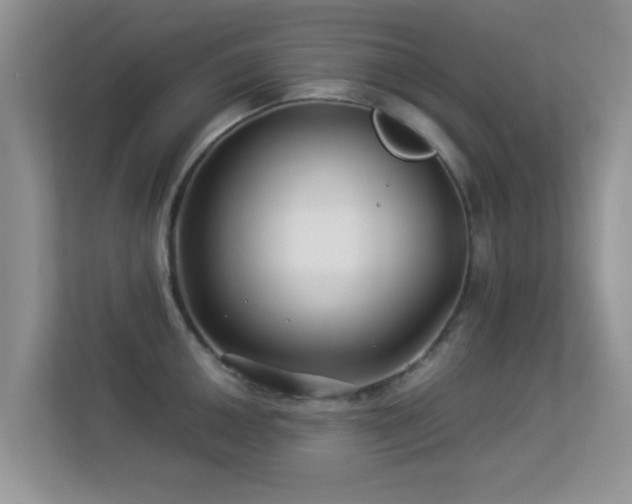 X0000113531050200909250902