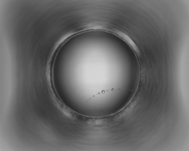 X0000113531051200909250902