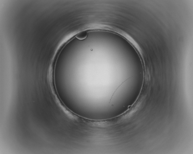 X0000113531053200909250902