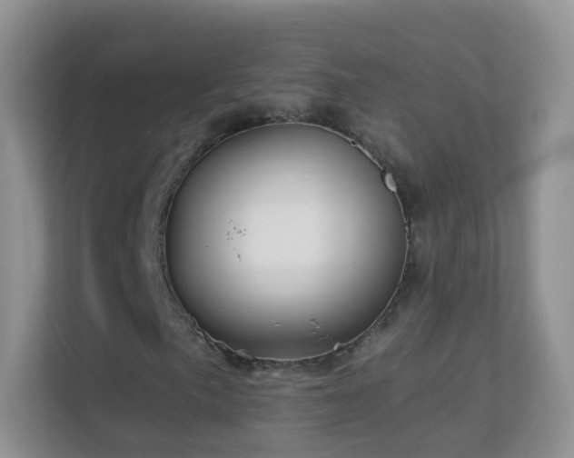 X0000113531057200909250901