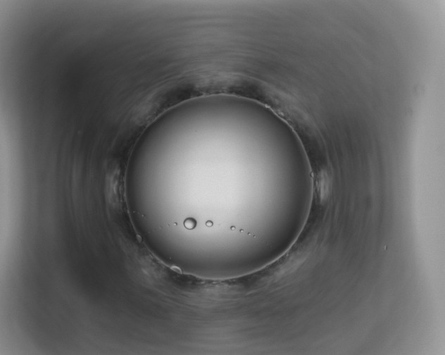 X0000113531059200909250901