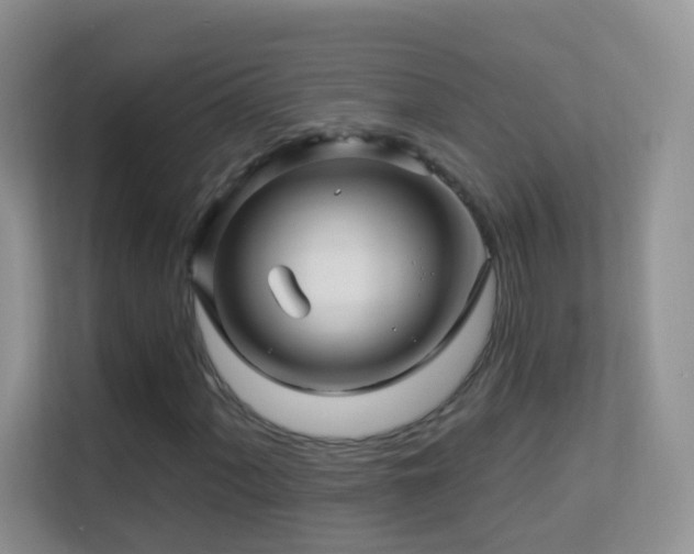 X0000113531060200909250901