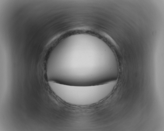 X0000113531064200909250901