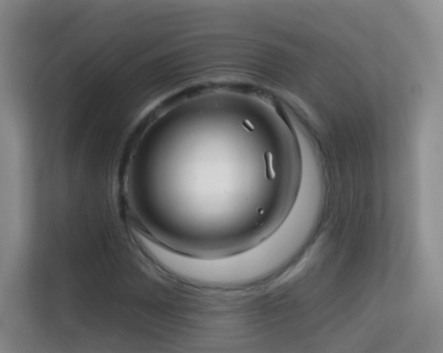 X0000113531065200909250901