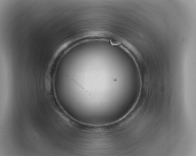 X0000113531067200909250901