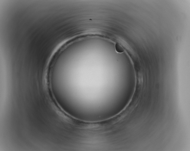 X0000113531068200909250901