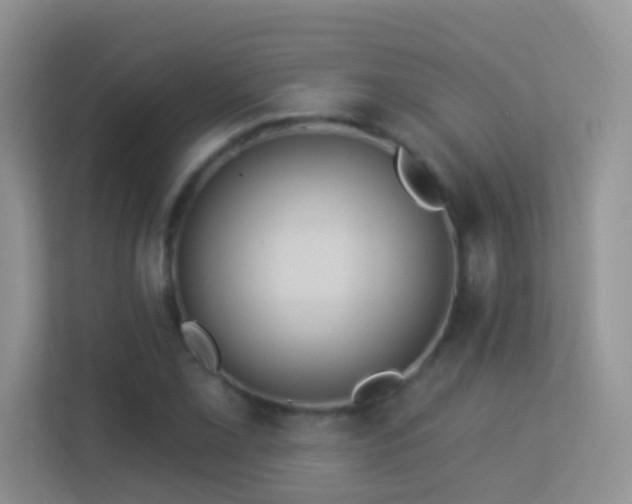 X0000113531069200909250901