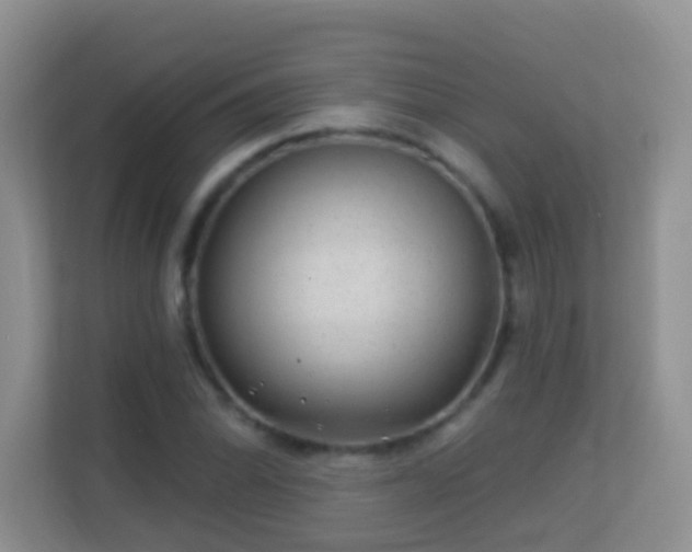 X0000113531070200909250901