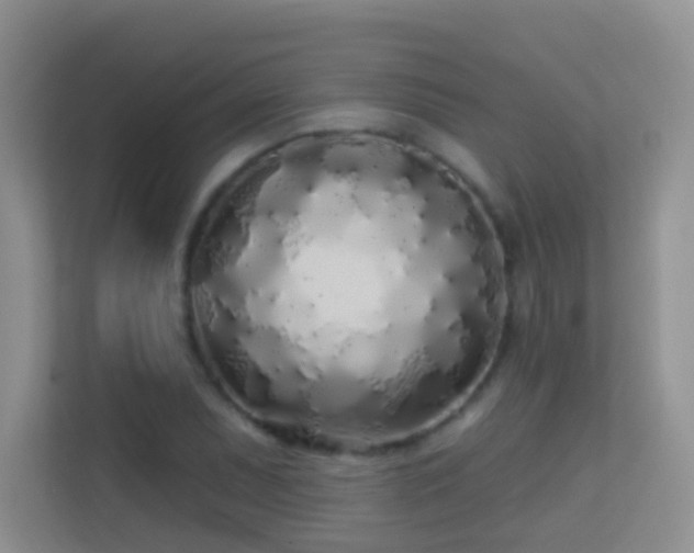 X0000113531071200909250901