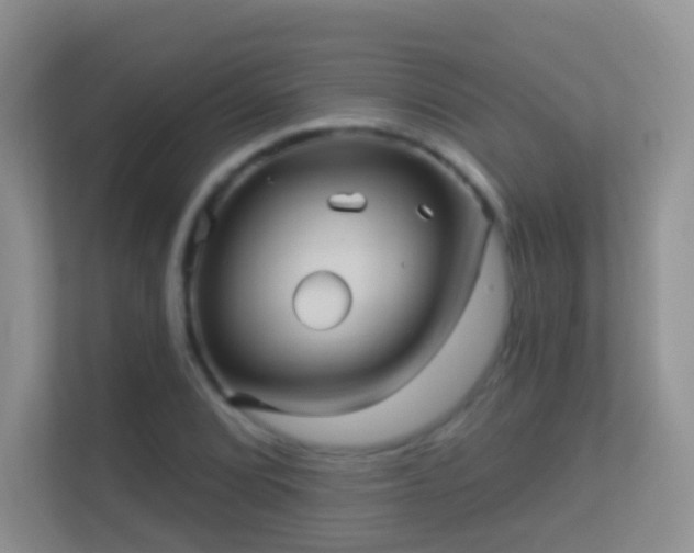 X0000113531072200909250901