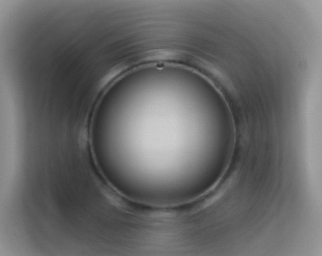 X0000113531073200909250901