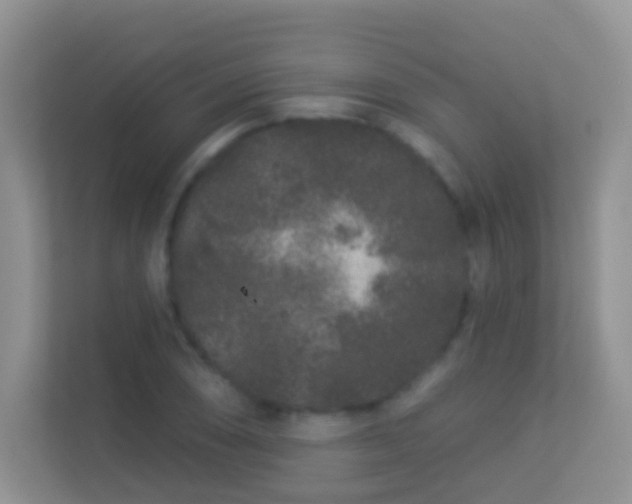 X0000113531074200909250901