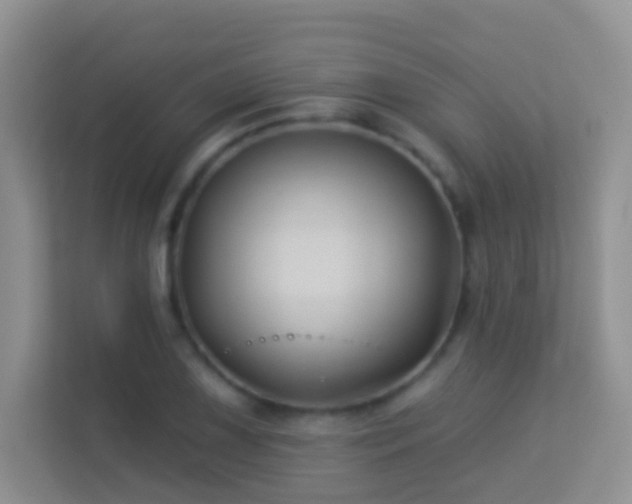 X0000113531075200909250901