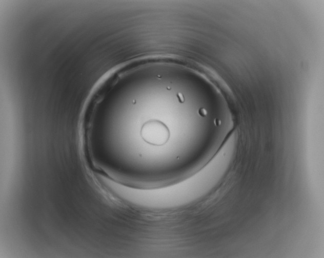 X0000113531076200909250901