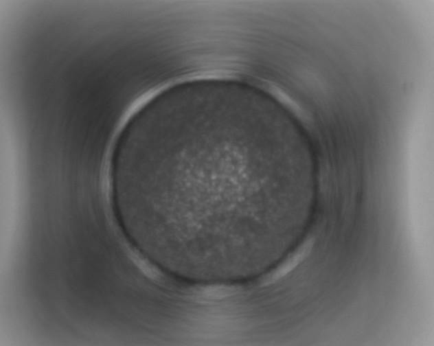 X0000113531077200909250901