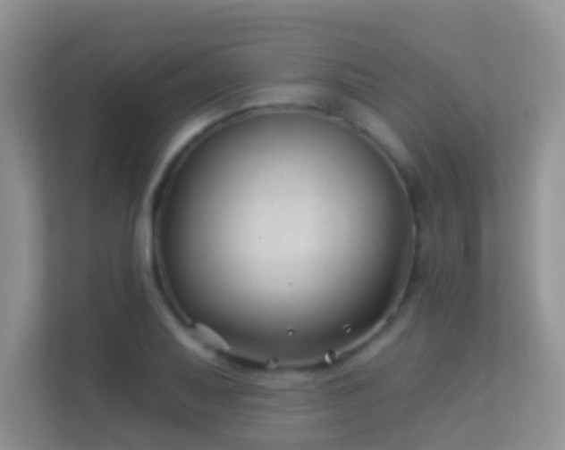 X0000113531079200909250901