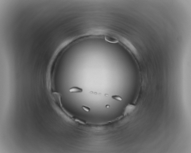 X0000113531080200909250901