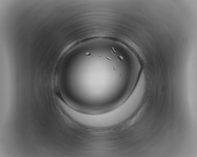 X0000113531081200909250901