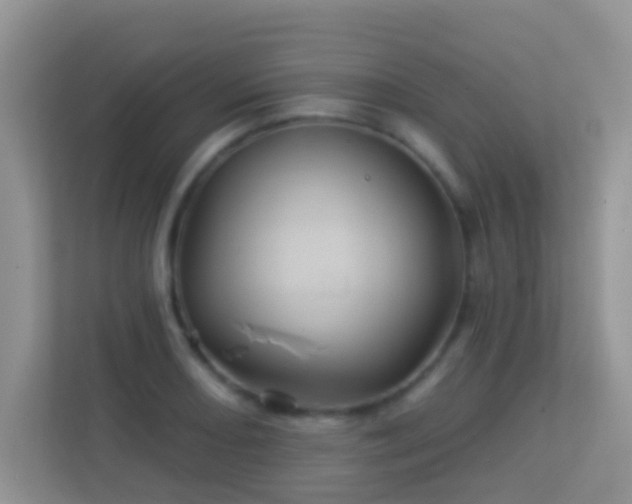 X0000113531082200909250901