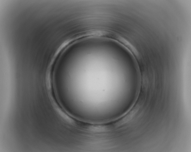 X0000113531083200909250901