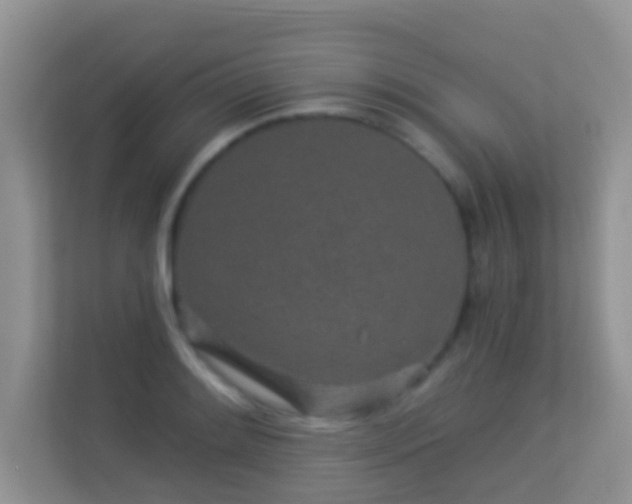 X0000113531084200909250901