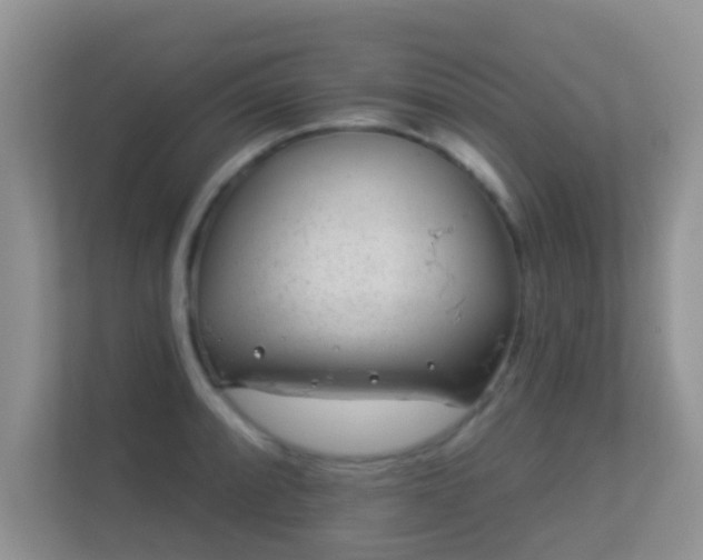 X0000113531088200909250901