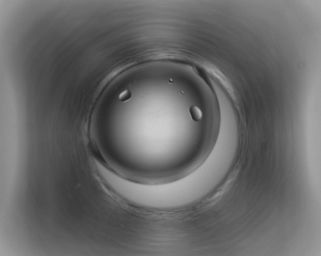 X0000113531089200909250901