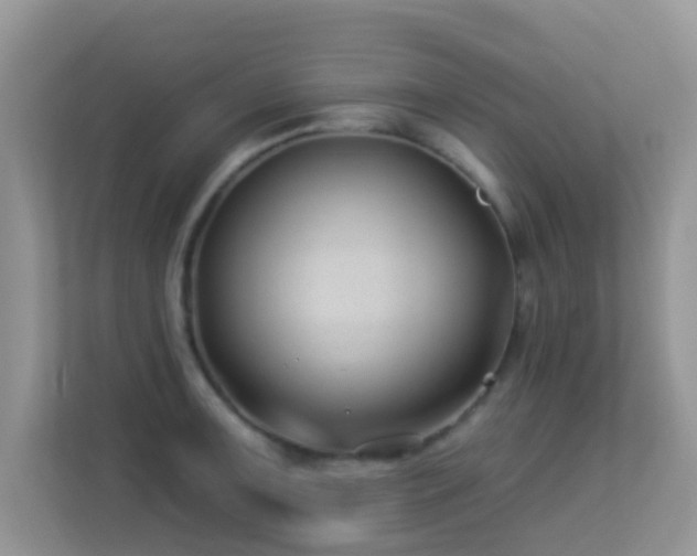 X0000113531091200909250901