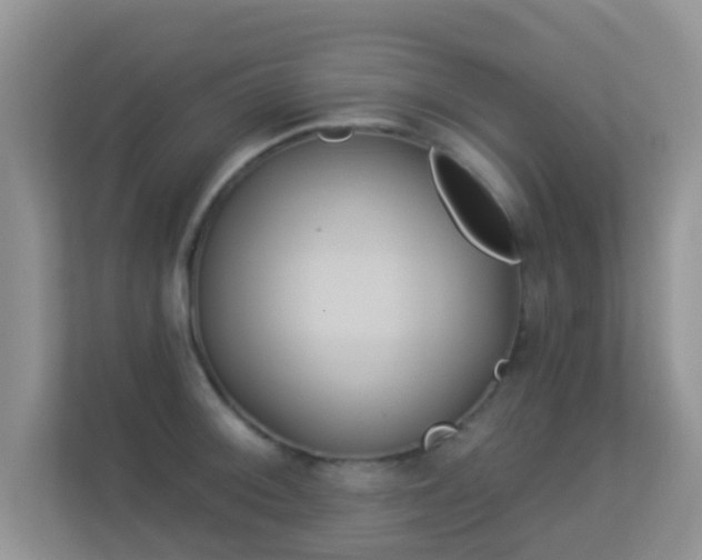 X0000113531092200909250901