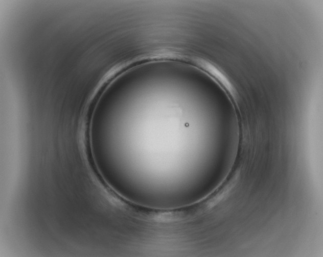 X0000113531093200909250901