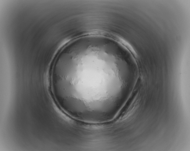 X0000113531095200909250901