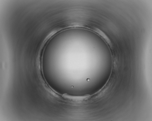 X0000113531096200909250901