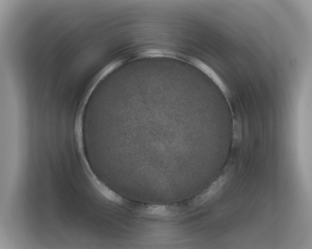 X0000113531098200909250901
