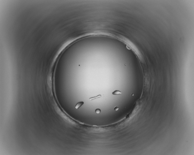 X0000113531100200909250901