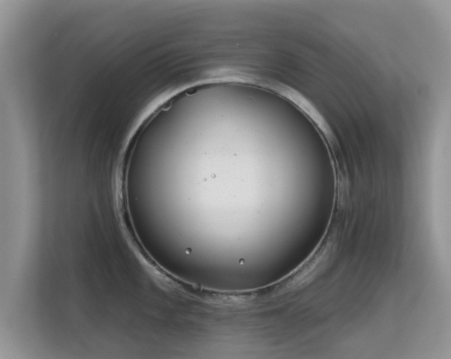 X0000113531101200909250901