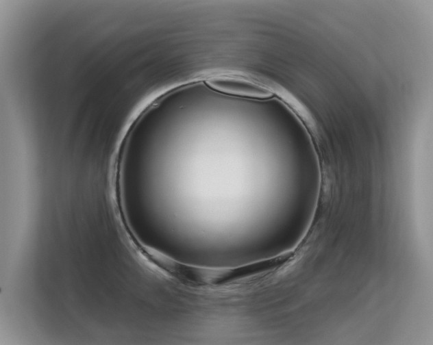 X0000113531102200909250901