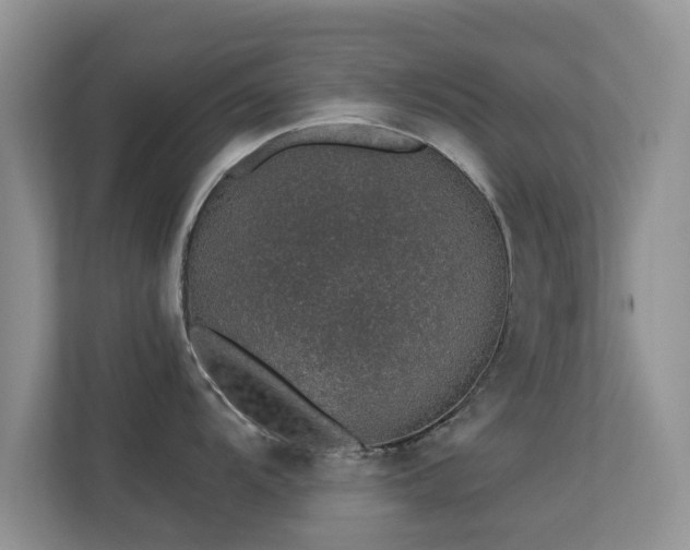 X0000113531104200909250901