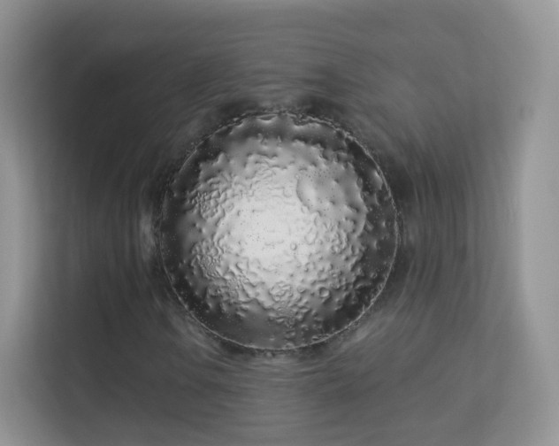 X0000113531106200909250900