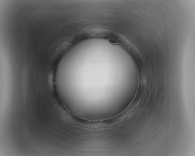 X0000113531108200909250900
