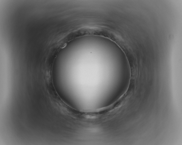 X0000113531109200909250900