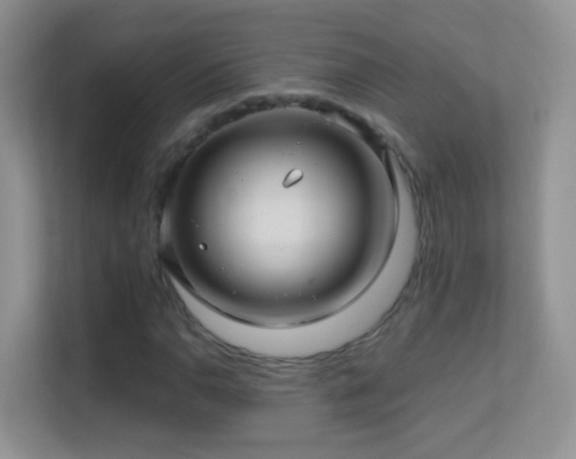 X0000113531110200909250900