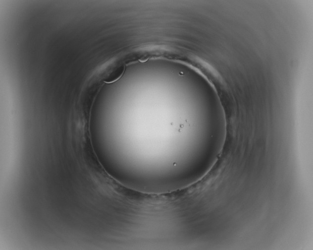 X0000113531111200909250900